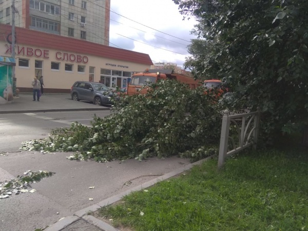 упавшее дерево(2020)|Фото: ГУ МЧС России по Свердловской области