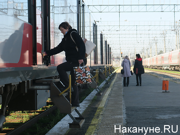 Скоростной поезд "Ласточка"(2020)|Фото: Накануне.RU