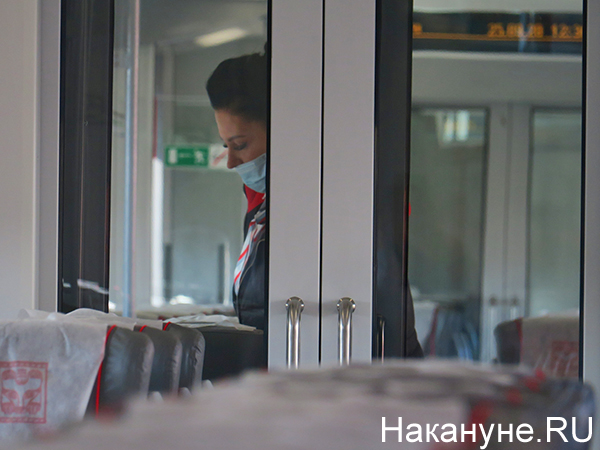 Скоростной поезд "Ласточка"(2020)|Фото: Накануне.RU