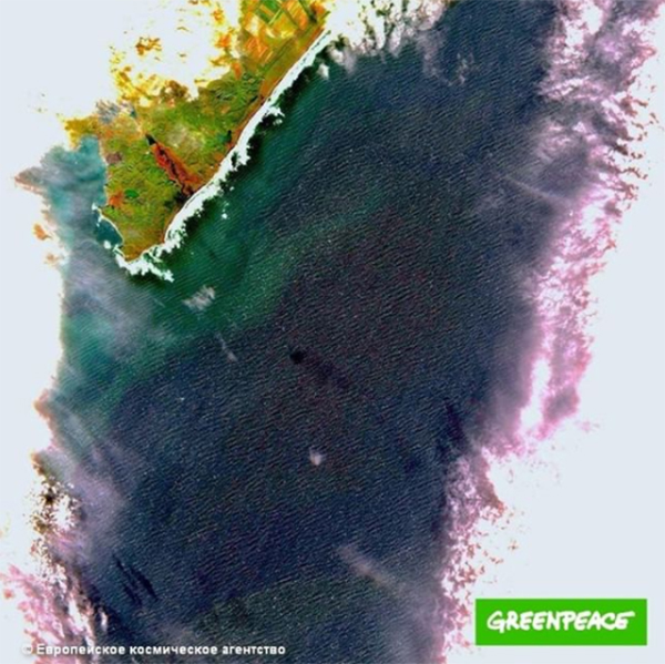 Снимок загрязнения у берегов Камчатки в октябре 2020 года. (2020)|Фото: Европейское космическое агентство / Greenpeace Россия