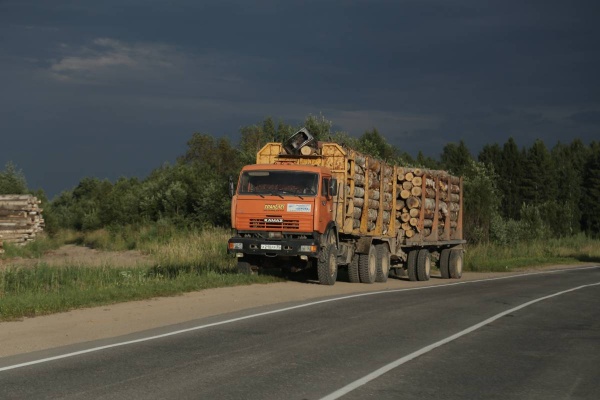 вывоз леса, лес-кругляк(2020)|Фото: vologda-oblast.ru