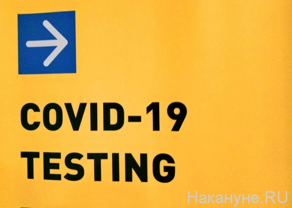 тест на коронавирус, COVID TESTING(2020)|Фото: Накануне.RU