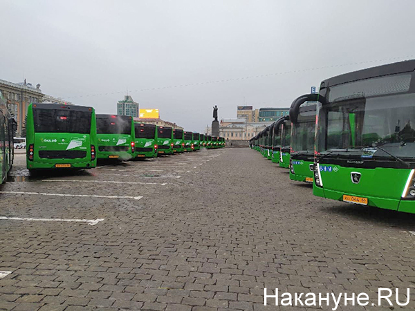 Новые автобусы в Екатеринбурге(2020)|Фото: Накануне.RU
