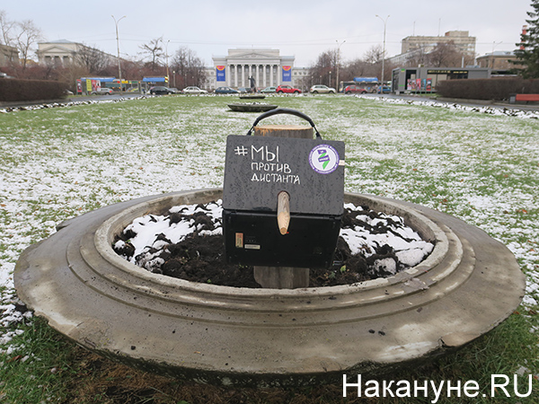 Акция сторонников движения "За правду" против дистанционного образования в Екатеринбурге(2020)|Фото: Накануне.RU