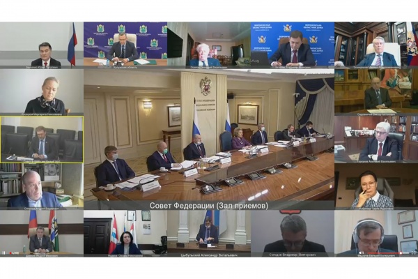 онлайн, совет федерации, законодатели(2020)|Фото: пресс-служба Воронежской областной думы