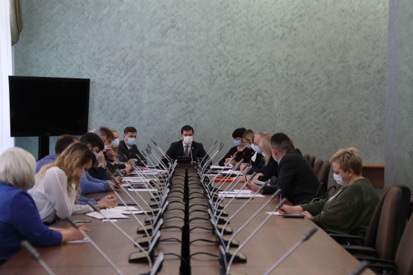 рабочая группа ЗСО по лекарственному обеспечению(2020)|Фото: Законодательное собрание Челябинской области