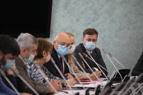 рабочая группа ЗСО по лекарственному обеспечению(2020)|Фото: Законодательное собрание Челябинской области