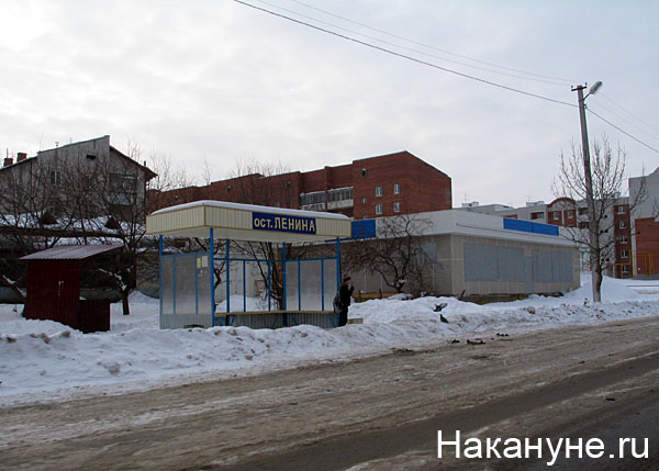 арамиль | Фото: Накануне.ru