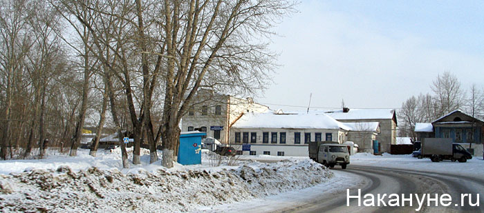 арамиль | Фото: Накануне.ru