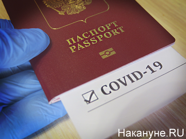 Коллаж, ковид-паспорт(2021)|Фото: Накануне.RU