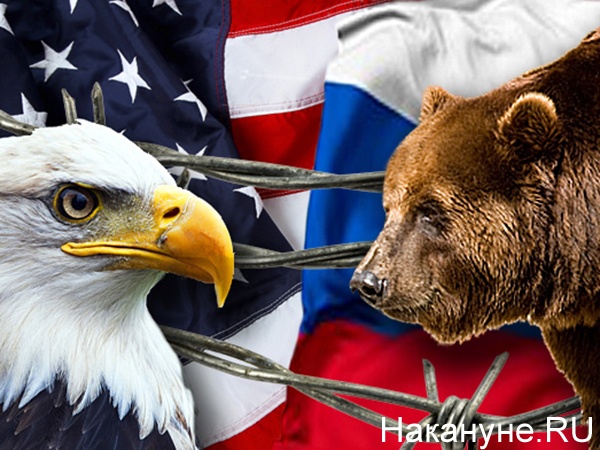 Коллаж, Россия, США, белоголовый орлан, бурый медведь(2021)|Фото: Накануне.RU