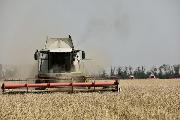 комбайн, уборочная кампания, сельское хозяйство, пшеница(2021)|Фото: пресс-служба администрации Краснодарского края