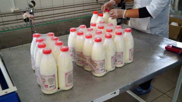 молоко, молочная продукция, сельское хозяйство, агропром(2021)|Фото: пресс-центр правительства Республики Тыва