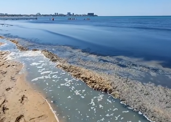 Фото: Юра Озаровский