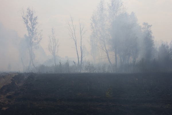 лесной пожар рядом с селом Мансурово(2021)|Фото: администрация Кунашакского района