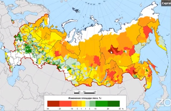 Карта изменений площади лесов с 2001 года.(2021)|Фото: Институт космических исследований РАН