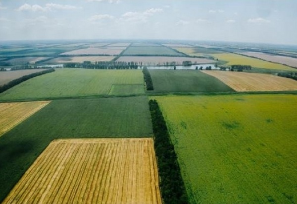 земля, сельское хозяйство, аграрии, земледелие(2021)|Фото: пресс-служба администрации Краснодарского края