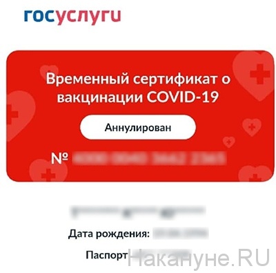 Временный сертификат о вакцинации COVID-19(2021)|Фото: Накануне.RU