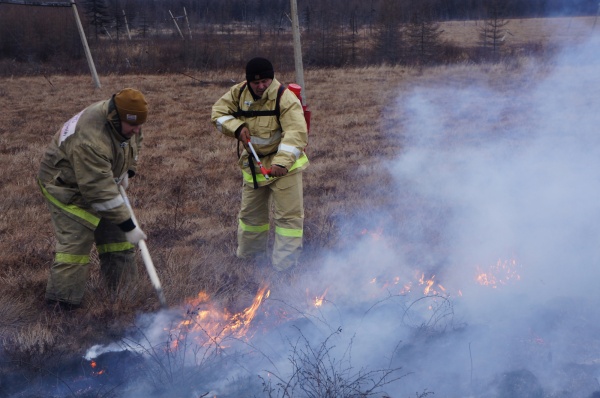 пожар в тундре, природный пожар(2021)|Фото: 49.mchs.gov.ru
