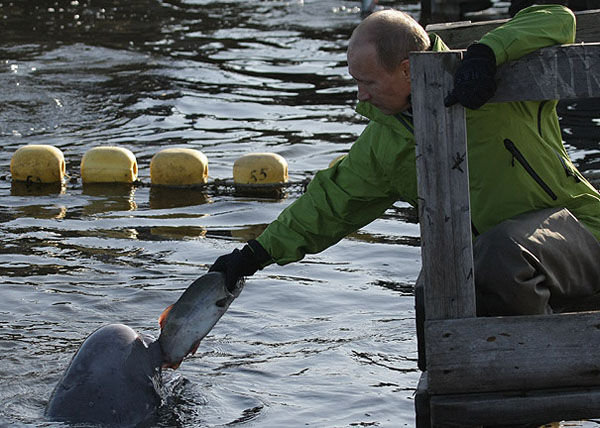 путин владимир владимирович дельфин | Фото: www.government.ru