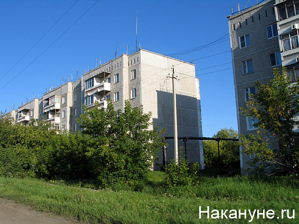 арамиль | Фото: Накануне.ru