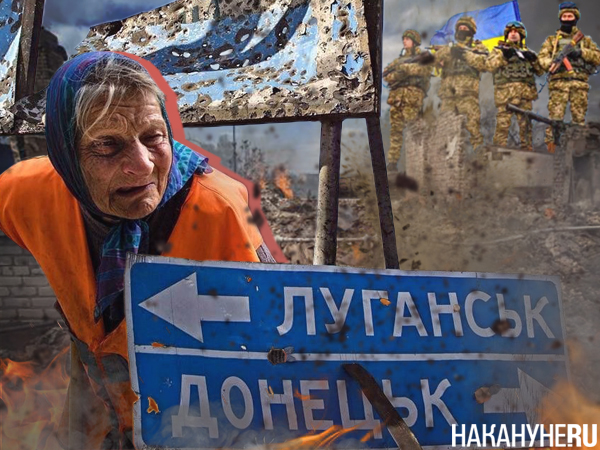 Коллаж, Донбасс, бабушка, украинская армия(2022)|Фото: Накануне.RU