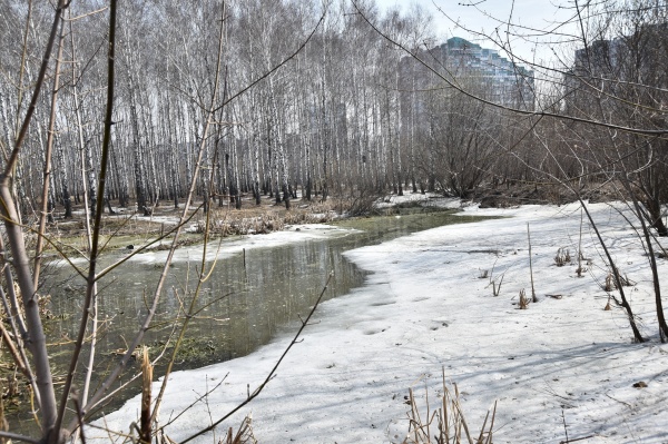 весна, река, снеготаяние, природа, половодье, подтопление(2022)|Фото: пресс-служба правительства Новосибирской области