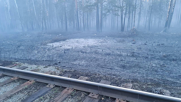 Возгорание сухой растительности в полосе отвода железной дороги на перегоне Березит-Кедровка(2022)|Фото: Уральская транспортная прокуратура