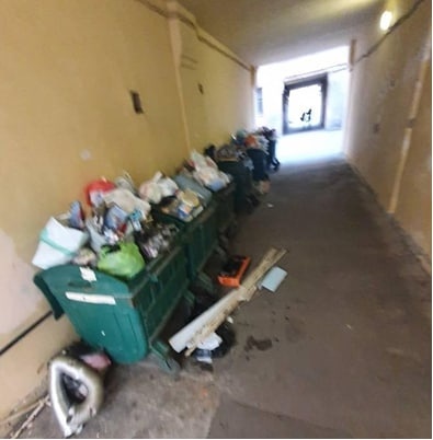 мусор, петербург, лп(2022)|Фото: соцсети /скрин