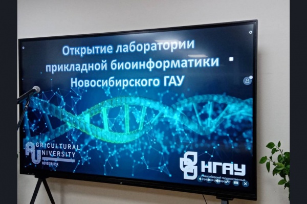 лаборатория, биоинформатика, новосибирск(2022)|Фото: пресс-служба правительства Новосибирской области
