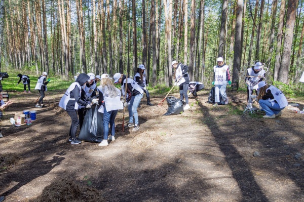 уборка леса(2022)|Фото: Дмитрий Иванов