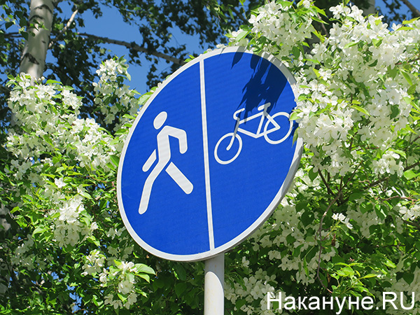 Знак "пешеходная и велосипедная дорожка"(2022)|Фото: Накануне.RU
