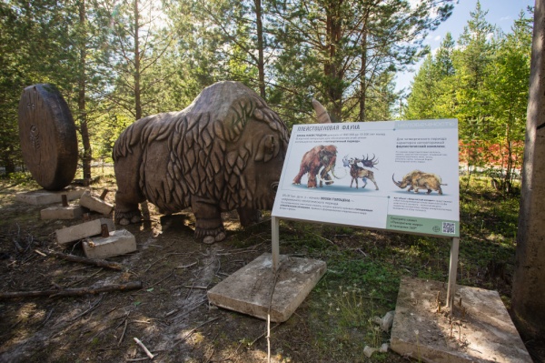 Шерстистый носорог, Барсова гора(2022)|Фото: Администрация Сургутского района