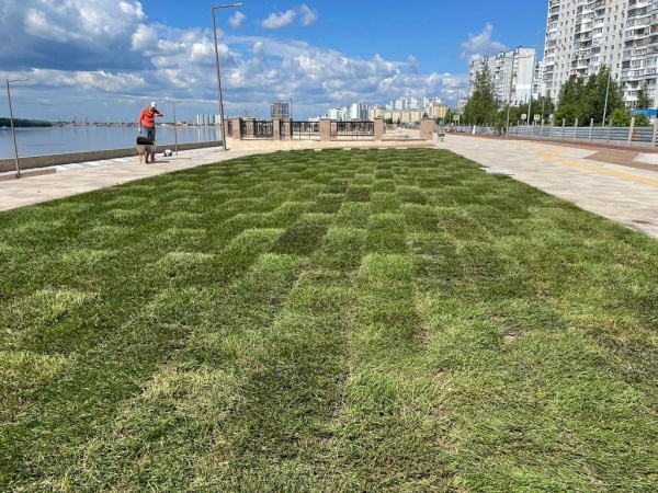 набережная, рулонный газон, нижневартовск(2022)|Фото: пресс-служба администрации Нижневартовска