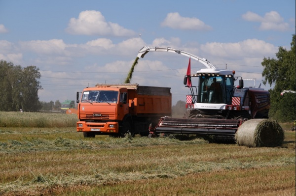 агрокомплекс, аграрии, сельхозтехника, импортозамещение, уборка урожая, сено(2022)|Фото: пресс-служба правительства Новосибирской области