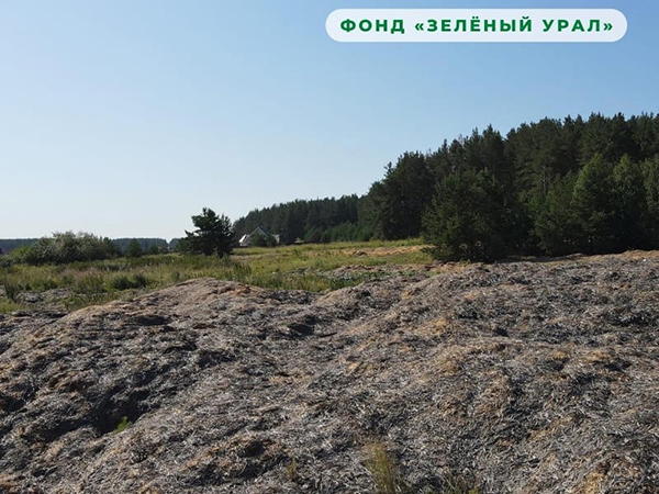 Участок в деревне Гилева(2022)|Фото: Фонд "Зелёный Урал"