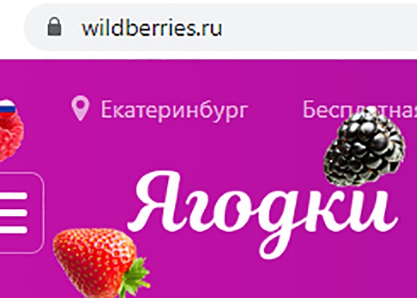 Wildberries(2022)|: Wildberries