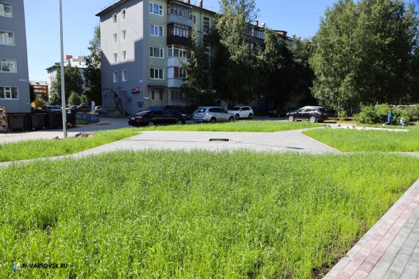 придомовая территория, благоустройство, парковка(2022)|Фото: пресс-служба администрации Нижневартовска
