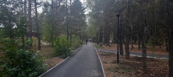 аллея, парк, сквер(2022)|Фото: пресс-служба правительства Новосибирской области