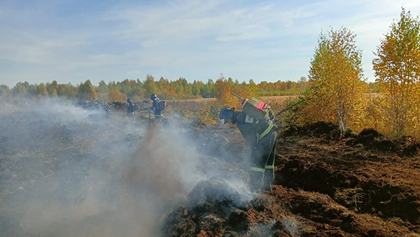 Тушение торфяного пожара в Свердловской области(2022)|Фото: ГУ МЧС по Свердловской области