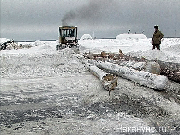 леспромхоз трактор лесовоз бревна(2004)|Фото: Накануне.ru