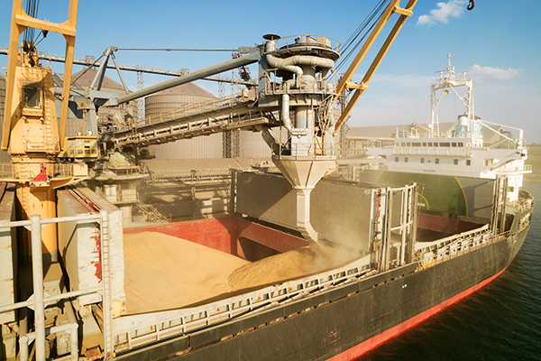 Судно загружает зерно в порту Одессы в Украине(2022)|Фото: Elena Larina / Shutterstock.com