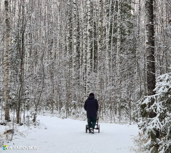 зимний лес, ягом, прогулка, детская коляска(2022)|Фото: пресс-служба администрации Нижневартовска