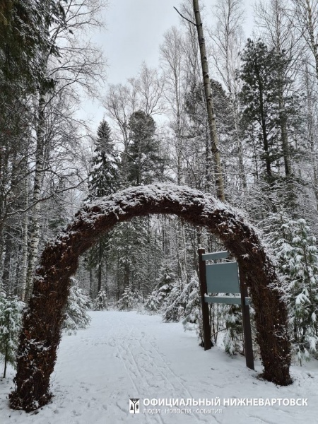 ягом, зима, парк, лес, природа(2022)|Фото: Официальный Нижневартовска