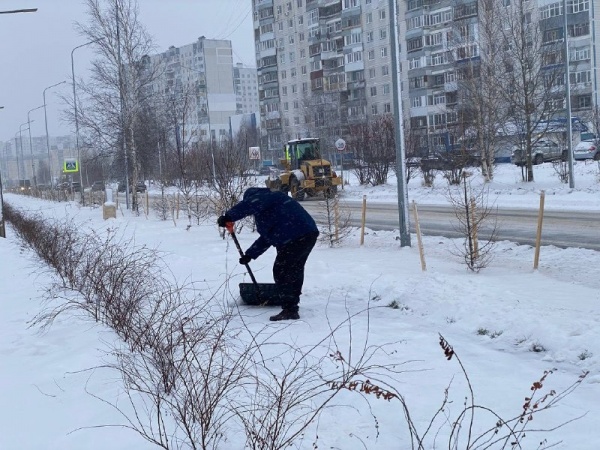 уборка снега, дворник(2022)|Фото: пресс-служба администрации Нижневартовска