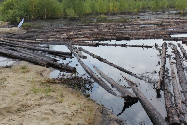 Разлив нефтепродуктов, загрязнение леса(2022)|Фото: "Зеленый фронт"