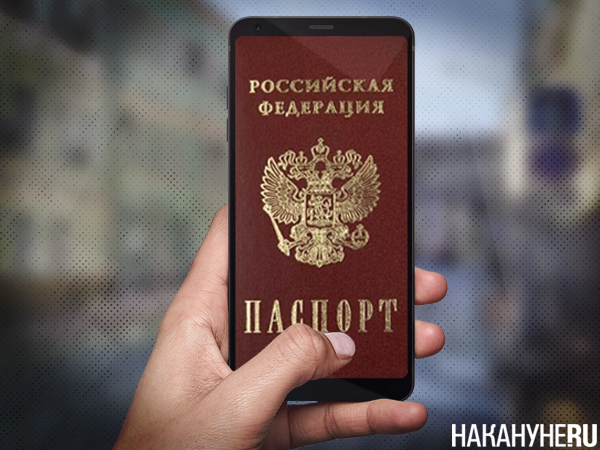 Коллаж, цифровой паспорт на смартфоне(2023)|Фото: Накануне.RU