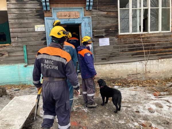 Спасатели с собакой.(2023)|Фото: пресс-служба ГУ МЧС РФ по Красноярскому краю
