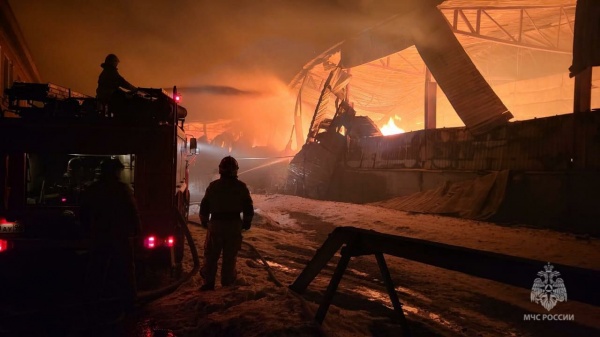 пожар в ангаре в Тавде(2023)|Фото: ГУ МЧС России по Свердловской области