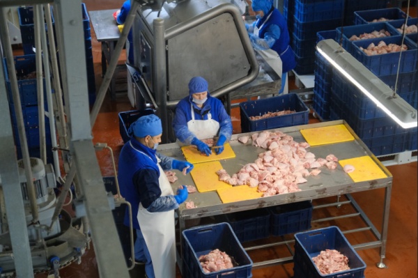 продуктовая корзина, апк, сельское хозяйство, куриное мясо(2023)|Фото: пресс-служба правительства Новосибирской области